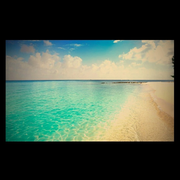 Meet your Posher, Mari - Picture 1 of 1